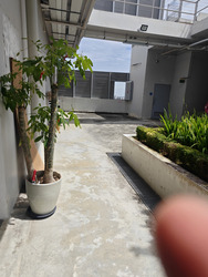 Proxima@Gambas (D27), Office #504532391